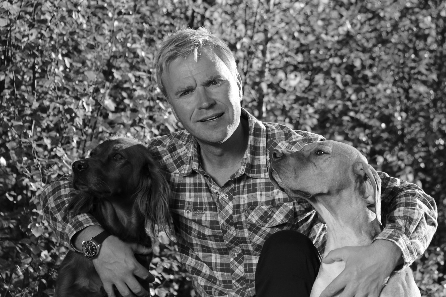 mattias westerlund with dogs