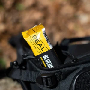 blueberry protein bar in a small backpack